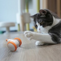 METAK 오토마우스 움직이는 고양이 장난감 혼자 자동 스트레스해소 사냥놀이, 블루