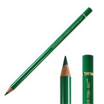 [파버카스텔]폴리크로모스색연필(유성) (색상 선택), [5005249]165-juniper green