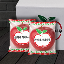 은이네사과나무 에플데이 정품 세척사과 5~15kg, 3)애플데이 세척사과 72과(15kg)