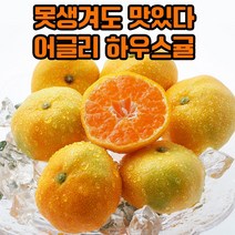 꿀당도 하우스귤 못생겨도 맛있는 어글리귤 로얄과 1kg 2kg 3kg 4kg 5kg, 하우스귤 못난이(가정용추천)2kg+500g덤
