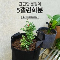 부직포 화분 베란다 텃밭 다용도 그로우백 블루베리 고구마 키우기 가정용 미니 5갤런, 상품선택, 3화분5갤런-브라운