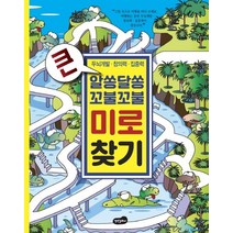 큰 알쏭달쏭 꼬불꼬불 미로 찾기:두뇌개발 창의력 집중력, 백만문화사