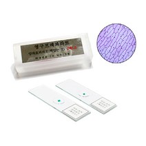 양파표피세포 슬라이드 (5매 1조)