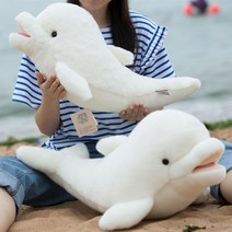 돌고래인형 제주도 쿠션 남방큰돌고래 선물 남자아기 애착인형 보들보들, 흰색, 37cm