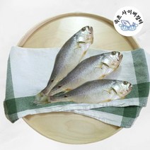 속초 반건조 금조기 부세 조기 제수용 큰 사이즈, 대 3미
