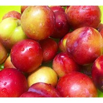 국내산 새콤달콤 후무사 자두 추희자두 2kg 포모사 김천후무사 왕자두 김천자두 김천자두왕특 대석자두 추희자두, 2kg(혼합과)