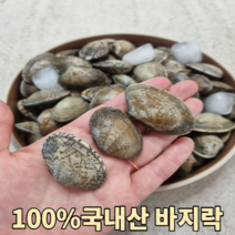 산지직송 100%국내산 바지락 1kg 2kg 5kg 10kg 조개 바지락 바지락살