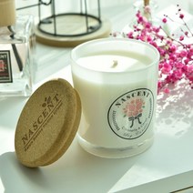 네이센트 아로마 7oz 소이캔들 리드캔들 라벤더 자스민캔들 방향제 향초, 08.면심지_화이트자스민&민트, 1개