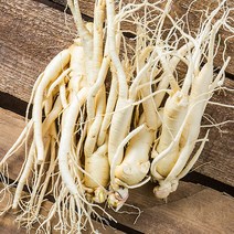 금산 인삼 350g 세척 수삼 인삼꽃주 삼계삼 난발삼 아카시아꿀 동강이 꿀절임 파삼 막삼 가정용삼 인삼차, 23_1OLW_실속세트 2호 300g