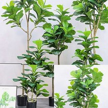 떡갈잎 고무나무 조화(150CM) 조화구입 조화나무인테리어