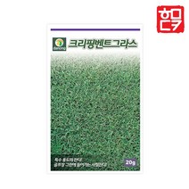 잔디씨앗 산소 정원 골프 잔디씨 한국들잔디 혼합풀씨, 크리핑벤트그라스 20g, 1개