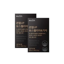 뉴온 관절up 보스웰리아 & 가자 30정, 2개