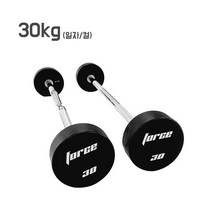 헬스가이드 포스 PU 고정식 일체형바벨 일자 ez바, 컬바-30kg