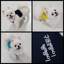 귀여운 강아지 옷 크롭 끈나시 이름 각인 명품옷 고양이 xs-2xl, 블루