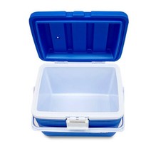 1박2일여행 20L 휴대용 아이스박스 쿨러백 피크닉보냉가방 야유회 가을캠핑 가든파티, 코스모스 720아이스박스20리터