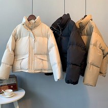B222233-테이큰 하이넥 패딩/웰론/겨울아우터/기본핏/페이크퍼/캐쥬얼/여성/패딩/점퍼/코트