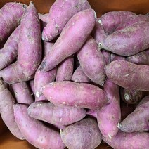 농수산물 시장직송 호박고구마 밤고구마 꿀고구마 5kg, 꿀 호박고구마(5kg), 1개