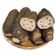 [모자농장] 2023년 고령 햇연근 (특) 무농약연근 흙연근 1kg 2kg 4kg 5kg 산지직송, 연근 특 1kg