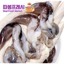 귀한 왕우럭조개(코끼리조개)1kg/2-4미 대사이즈 2-3인분/통영 채취, 1개