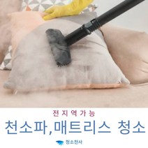 토퍼집진드기퇴치 침구집진드기퇴치 거실러그곰팡이청소 거실카페트곰팡이청소 단모러그곰팡이청소 담요곰팡이청소 대형러그곰팡이청소 러그곰팡이청소