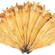 산지직송 청정설악 용대리 황태포 10미 특왕사이즈 44~47cm, 특왕 (44~47cm, 10미), 1세트