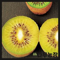 (나무농장) 키위나무 골드키위 접목1년 묘목