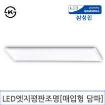 LED 엣지평판조명 1200X300 [매입형 담파](DY-114), 50W 3000K전구색 KS
