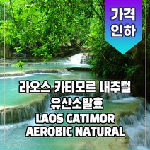 (커피생두) 246 라오스 카티모르 내추럴 유산소발효 1kg