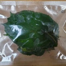 [한스푼푸드] 삶은 뽕잎 100g (80장내외)거북이밥 물고기밥 새우밥