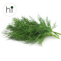 [허브아이] 딜 10g 30g 100g 딜