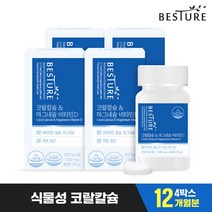 [베스처] 코랄칼슘 앤 마그네슘 비타민D 4박스 총 12개월분, 베스처 코랄칼슘 마그네슘 비타민D 12개월분