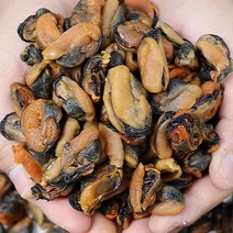 홍합제철 홍합손질 반건조홍합 건조홍합, 건홍합 500g