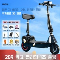 기함급전동킥보드 듀얼 로드 고성능 고스펙 전동스쿠터, 표준 브러시드 24v 블랙 50~60마일