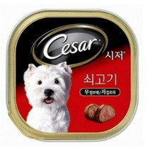 시저 강아지 캔, 소, 53개