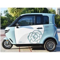 지붕 전기 삼륜차 세발오토바이 휠체어 전동차 칸막이, 납산배터리 1개