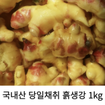 국내산 당일 채취 흙생강 400g 1kg 2kg 생강차, 1개