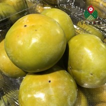 당일 갓 따온 태추 단감 3kg 5kg, 01_ 태추 단감 3kg 14-21과