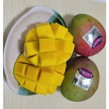 수입산 프리미엄 애플망고 1kg 2kg 3kg 4kg 중남미 새콤달콤 Apple mango, 1kg (2-3과), 1개