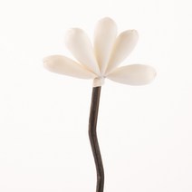 디퓨저 솔라플라워 스틱 하프플라워 스틱 (1개입)