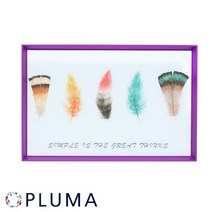 모던라이프 직사각쟁반 36 사각트레이 플루마 24cm 디자인쟁반 쟁반 x 9W9B1681, 1개, 1개