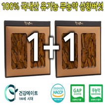 프리미엄 국내산 유기농 무농약 장수상황버섯 슬라이스 500g 1+1, 2개