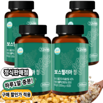 관절연골엔 보스웰리아 보스웰릭산 고함량 x 4통, 4개
