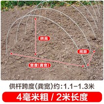 새로운 작은 아치 브래킷 야채 창고 기둥 분야 단열 FRP 단단한 유리 섬유 농업 묘목, 20개, 두께 4mm - 길이 2m