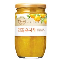 복음자리 유자차 480g