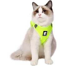 고양이캣휠 캣휠 고양이휠Heywean 고양이 하네스 및 목줄 - 초경량 탈출 방지 칼라 러, 02 Small_07 회색.