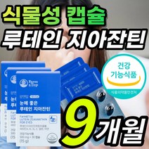 식물성 캡슐 루테인 지아잔틴 루태인 뉴테인 누태인 류태인 루테린 황반색소밀도 포도씨유 빌베리 눈에 좋은 침침한 흐릿한 답답한 눈 노화 건강 보호 도움 영양제 추천 + 알 약 케이스, 1개, 9개월
