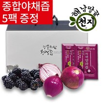 땅끝청정해남 오디자색양파즙 100ml, 60개입, 1개