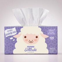 소프트메이트 각티슈 100매 6각