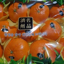 [명가]제주 황금향 레드향 천혜향 한라봉 비가림 하우스 감귤, 1박스, 12.한라봉 5kg/선물용(17과내외)