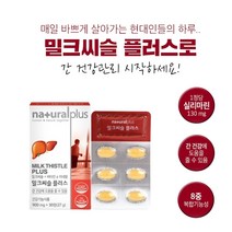 장년 중년 남성 남자 간 수치 AST ALT 감소 피로 회복 분해 재생 감마 gtp 에 좋은 도움 완화 보호제 영양제, 1BOX(1개월분), 1개